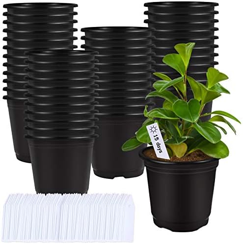 Augshy 75 Pcs 0.5 Gallon Black Plastic Plant Nursery Garden Pots 6 Inches Seed Starting Pots Containers with 100 Labels by Augshy