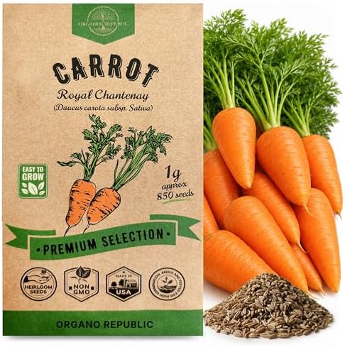 Organo Republic Carrot Royal Chantenay Seeds Pack 1G - Over 850 of Non-GMO Heirloom Carrot Seeds for Planting Vegetables in Individual Seed Packet, Vegetable Seeds for Planting Indoor & Outdoor Garden by OrganoRepublic