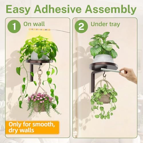 Plant Wall Hanger with Grow Lights Set of 2 for Indoor, Bronze - Image 6