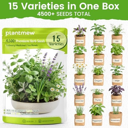 Herb Seeds 15-Pack – 4,500+ Heirloom Seeds for Planting – Indoor & Outdoor Herb Garden Kit with Basil, Cilantro, Rosemary, Thyme, Dill, Sage – Medicinal & Culinary Herb Seeds Variety Pack - Image 2