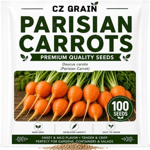 100 Parisian Carrot Seeds | Round Baby Carrots | Seeds for Planting by CZGrain