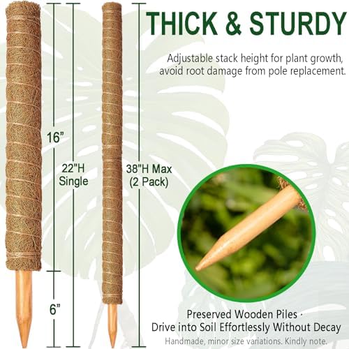 Soupiar 2 Pack 22 Inch Stackable Moss Pole - Thick & Sturdy Natural Coir Totem Plant Support & Garden Stakes for Monstera & Pothos, Indoor Climbing Vining Houseplants, 38" H Max - Image 2