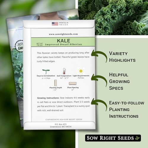 Sow Right Seeds - Dwarf Siberian Improved Kale Seed for Planting Garden - Image 2