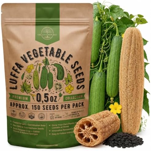 150 Luffa Seeds for Planting - 0.5 oz Heirloom Pack 2026, Loofah Aegyptiaca Gourd Seeds Non-GMO for Outdoor Vegetable Gardens and Trellis Vines by OrganoRepublic