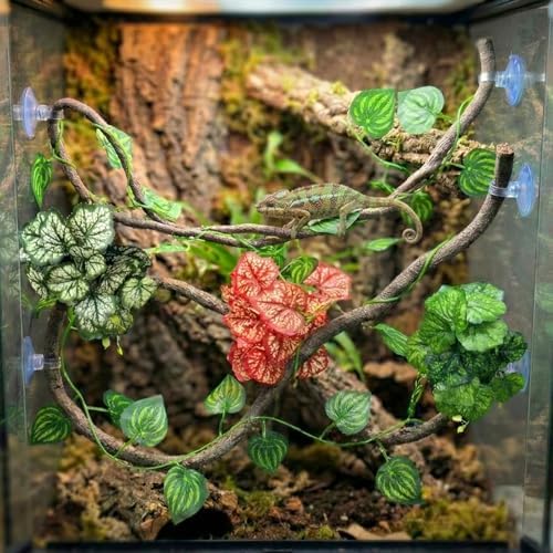 5 Pc Reptile Plants & Habitat Decor Kit - 3 Artificial Plants & Large 3.3ft Jungle Vine Branch, Amphibian Habitat Hideout Decor Accessories for Crested Gecko, Bearded Dragon, Lizard, Snake,Hermit Crab - Image 3