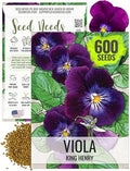 Seed Needs King Henry Viola Seeds to Plant Gothic Violet Flowers 1 Pack by SeedNeeds