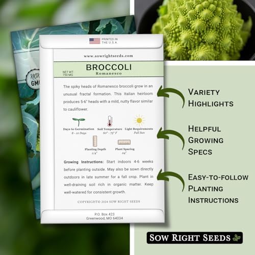 Sow Right Seeds - Romanesco Broccoli Seed for Planting Vegetable Garden 3pk - Image 2