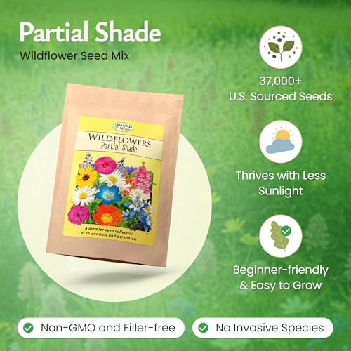 Partial Shade Wildflower Seed Mix, 37,000 Seeds, Covers 300 Sq Ft - Image 2