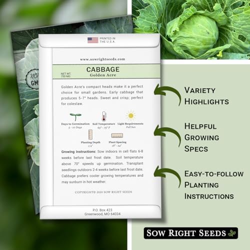 Sow Right Seeds - Golden Acre Cabbage Seed for Planting Vegetable Garden - Image 2