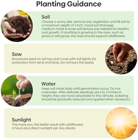 Groundio 25,000+ Wildflower Seeds Mix 1 Oz, 24 Varieties Perennial & Annual Seeds for Hummingbirds and Butterflies, High Germination Flower Seeds Throw and Grow to Plant Outside, No Filler - Image 6