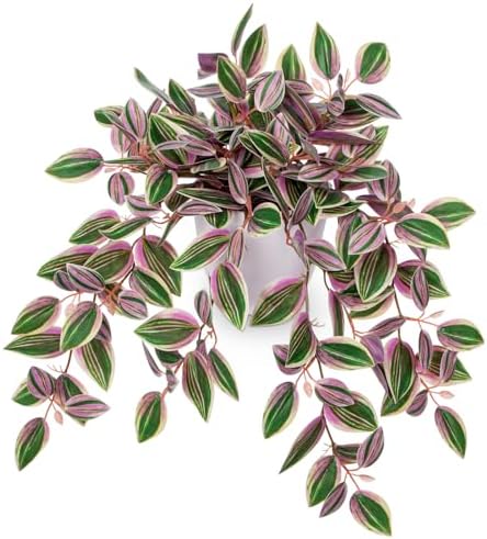 Briful Artificial Potted Plant Indoor, 17.7" Faux Trailing Plant in White Plastic Pot Blush Green Variegated Fake Cascading Plant for Bedroom Shelf Vanity Bathroom Office Desk Home Decor by Briful