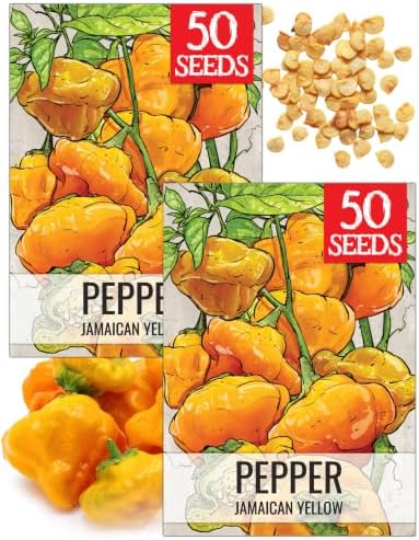 Seed Needs Jamaican Yellow Hot Pepper Seeds to Plant Vegetables - 2 Packs by SeedNeeds