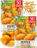 Seed Needs Jamaican Yellow Hot Pepper Seeds to Plant Vegetables - 2 Packs by SeedNeeds