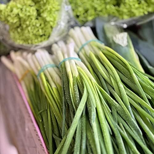 Organic Onion Seeds (Bunching Evergreen) - Approx 200 Seeds - USDA Organic, Non-GMO, Open Pollinated, Heirloom, USA Origin - Image 5