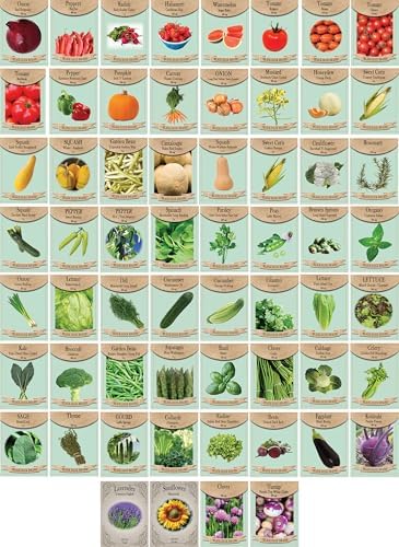 Set of 60 Premium Variety Herbs and Vegetables - Deluxe Garden Choices for Premium Gardening! (60 Premium Seeds) by BlackDuckBrand