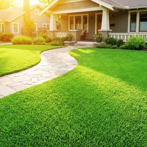 80000 Zoysia Grass Seeds for Lawn, Emerald Zoysia Grass Seed by Unknown