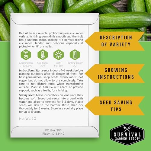 Beit Alpha Cucumber Seeds for Planting - Burpless Variety (1 Pack) - Image 2