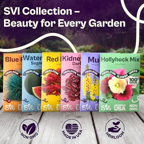 SVI 1200 Mullein Seeds for Planting (Verbascum thapsus) - Great Mullein, Heirloom Non GMO Herbs, 4-6 ft Spikes - Medicinal Herb Seeds for Flower and Herb Garden - Image 7