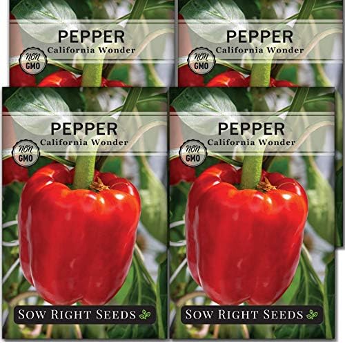 Sow Right Seeds - California Wonder Pepper Seed for Planting Outdoors 4pk by SowRightSeeds