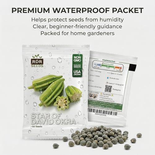 50 Star of David Okra Seeds for Planting - Large Round 8-Ridged Pods, Israeli Heirloom, Non-GMO, USA Grown by RDR Seeds - Image 7