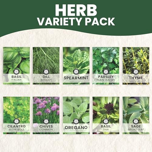 Herb Seeds | 10 Individual Packs | 2026 Season | Non-GMO | Mint, Parsley, Basil, Thyme & More! | for Planting Indoor & Outdoor | by Family Sown - Image 3