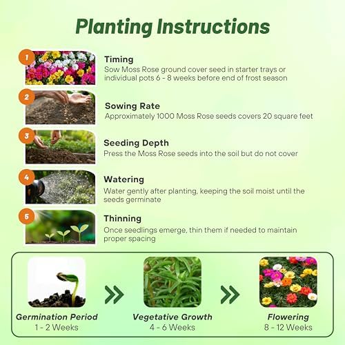 Outsidepride Mixed Moss Rose Seeds - 10000 Pcs Annual, Drought & Heat Tolerant, Pollinator Friendly Ground Cover Seeds for Planting w/Vibrant Blooms & Succulent Foliage, Ideal for Xeriscaping - Image 5