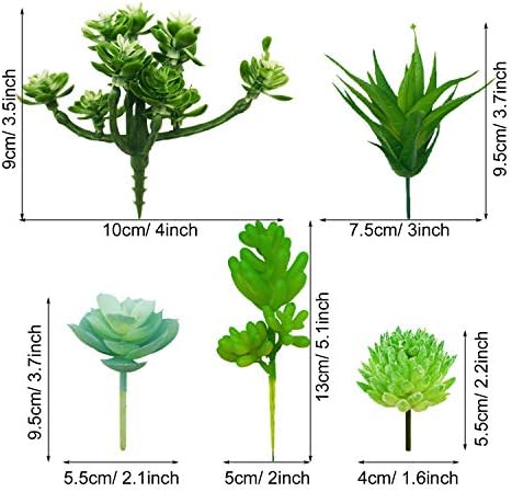 Woohome 20 PCS Artificial Succulent Plants, Green Fake Succulent, Unpotted Faux Succulent Assortment in Flocked Blue in Different Type for Birthday Home Decor Indoor Wall Garden DIY - Image 5