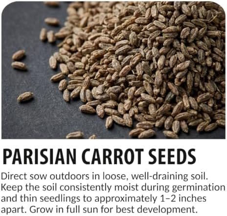 100 Parisian Carrot Seeds | Round Baby Carrots | Seeds for Planting - Image 6