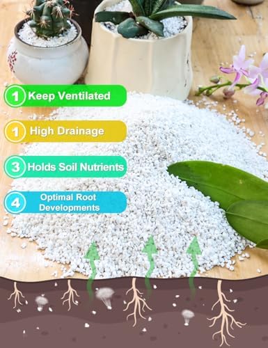 TOYPOPOR Perlite for Plants, 3-6mm Organic Perlite for Gardening, Perlite for Plants Indoor, Soil Additive Conditioner Mix Improve Drainage and Ventilation Promote Root Growth and Soil Health 1qt - Image 2