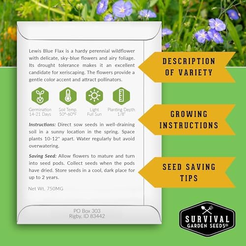Lewis Blue Flax Seeds for Planting - Survival Garden Seeds (1 Pack) - Image 2