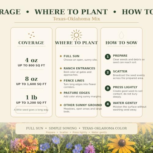 Wildflower Seeds for Central & Western Texas – 9-Species Regional Blend for Full Sun, Heat & Dry Conditions; Annual & Perennial Flowers; 1 lb Covers Up to 3,200 sq ft – Paper Street Perennials - Image 6