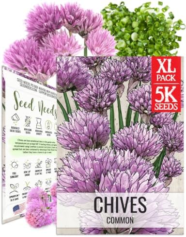 Seed Needs Common Chives Seeds to Plant Non-GMO Heirloom Herbs XL Pack by SeedNeeds