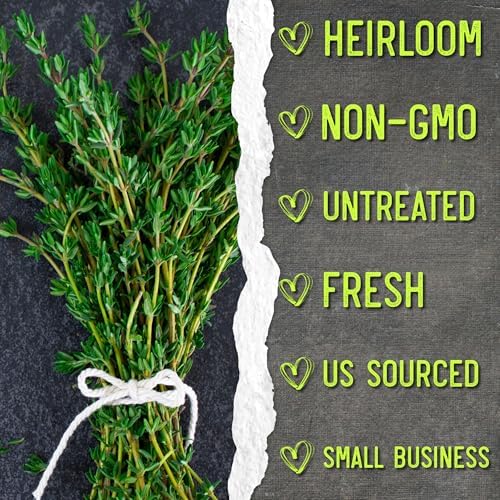 Seed Needs Thyme Seeds to Plant Non-GMO & Heirloom Thymus Herbs XL Pack - Image 6
