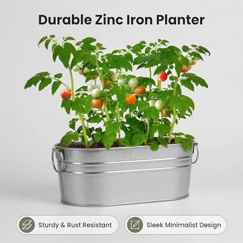 Cherry Tomato Grow Kit, All-in-One Indoor Vegetable Garden Starter Kit with Metal Planter, Complete Growing Set for Beginners, Kitchen Windowsill & Home Gardening & Plant Lovers Gift - Image 6