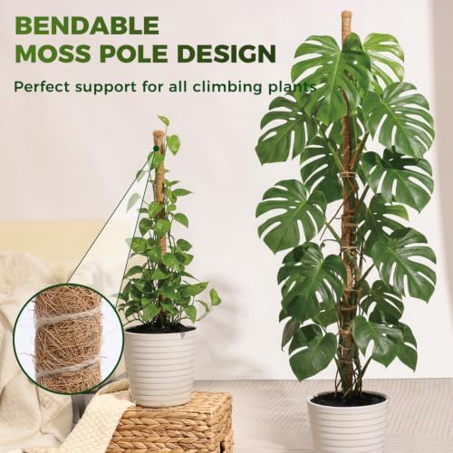 48" Moss Pole Monstera Plant Support, 4 Pack, Bendable Plant Stakes Made of Real Coco Coir Support for Climbing Indoor Plants, Tall Moss Stick Trellis for Potted Climbers - Image 3