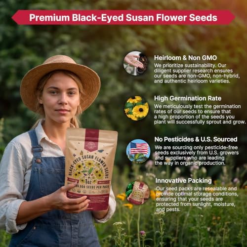 Black Eyed Susan Flower Seeds Pack 1 oz - Over 100,000 Rudbeckia Hirta Seeds Non-GMO Heirloom, Wildflowers in Individual Packet, Home & Garden Planting Indoor & Outdoor Gardening - Image 6