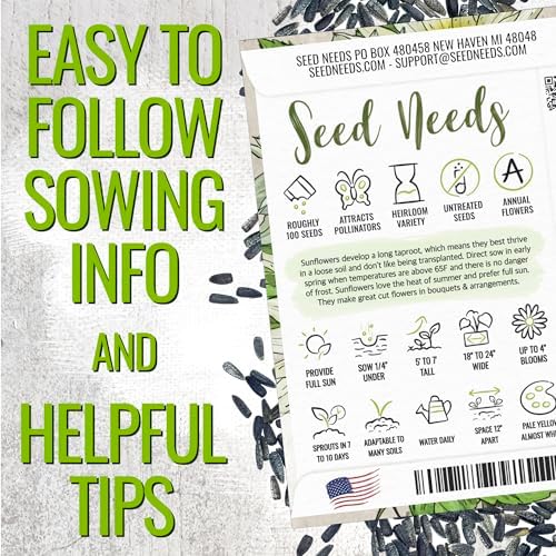 Seed Needs Sunflower Seeds Variety Pack of 2 Helianthus Flowers to Plant - Image 5