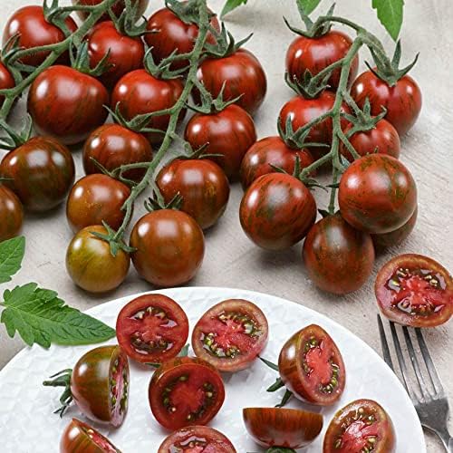 Park Seed Cherry Tomato Seeds, Planting Vegetables, Easy to Grow, Non-GMO, Variety of Colors and Sizes, Spring Garden, Gum Drop Black, Pack of 30 by ParkSeed