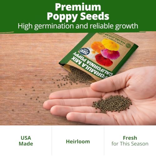 HOME GROWN Formula Mix California Poppy Seeds, 2,000 Seeds - Image 6