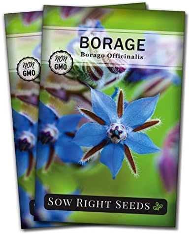 Sow Right Seeds-Borage Seed for Planting Medicinal Culinary Herb Garden 2pk by SowRightSeeds
