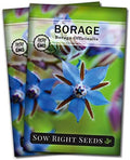Sow Right Seeds-Borage Seed for Planting Medicinal Culinary Herb Garden 2pk by SowRightSeeds
