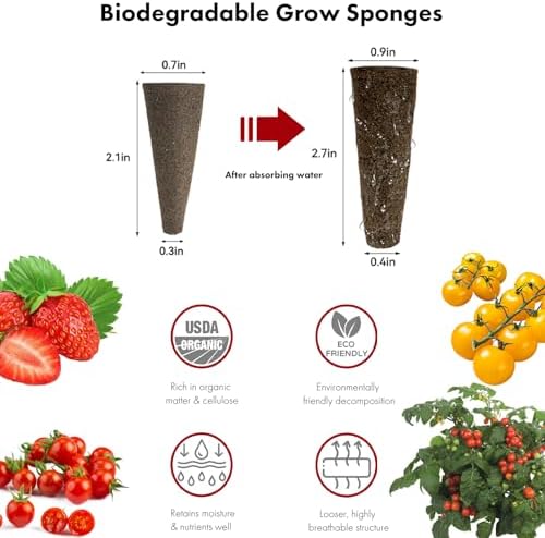 LYKOCLEAN Strawberry Seed Pods for AeroGarden Hydroponic Growing System Kit - Image 5