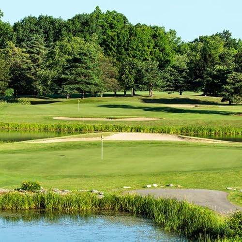 Outsidepride PC2.0 (Penncross) Creeping Bent Grass Seed – 25 lbs. Premium Golf Course Grade, Dense, Wear-Resistant Turf Grass Seeds for Tees, Putting Greens & Fairways, Ideal for High Traffic Areas - Image 5