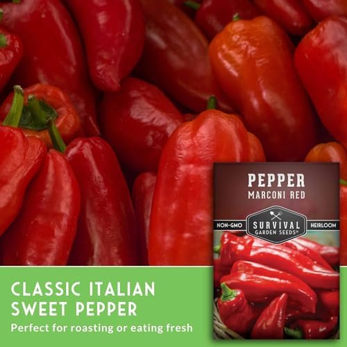 Marconi Red Pepper Seeds for Planting - 2 Packs - Image 3