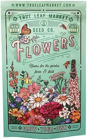 Mountain Valley Seed Co Wildflower Southeastern Flower 1 Lb 640,000 Seeds - Image 4