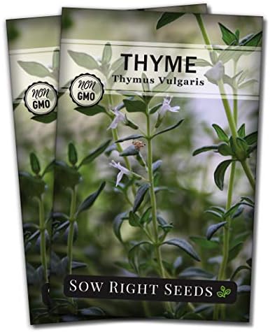 Sow Right Seeds - Thyme Seed for Planting Home Perennial Herb Garden 2pk by SowRightSeeds