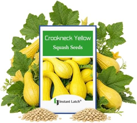 Crookneck Yellow Squash Seeds, 20 Seeds by Instant+Latch