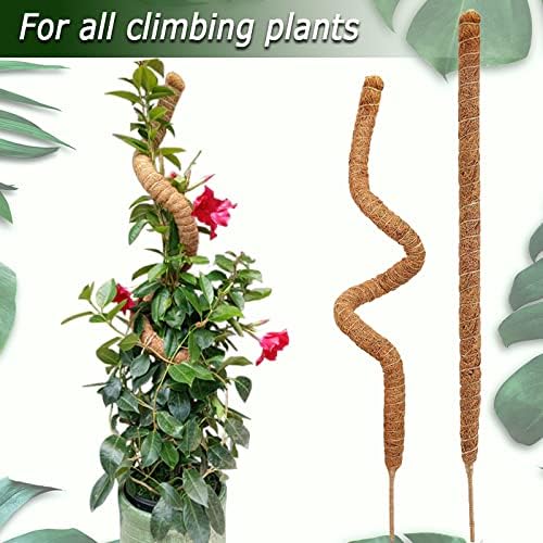 Soupiar 2-Pack 28" Bendable Moss Pole for Monstera, Rust-Free Aluminum Core Plant Support Stakes, Sturdy Stakes to Train & Grow Indoor Climbing Plants Upright (13.2ft Jute Rope Included) - Image 4