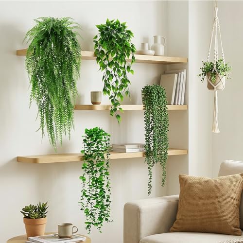 Daifunli 12 Pcs Artificial Hanging Plants Fake Hanging Ferns Plastic Fake Plant for Wall Room Garden Garland Indoor Outdoor Decor No Basket (Eucalyptu,Mandala,Boston,String of Pearl,Podocarpu,Pothos) - Image 3