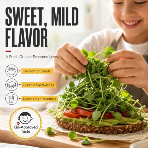 Todd's Seeds Green Pea Sprouting Seeds 1lb – Non-GMO Triple-Cleaned - Image 6